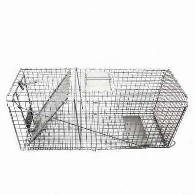 Survival Animal Traps Humane Traps R Live Fox Cage Trap How To Trap A Fox