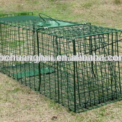 Foldable steel animal trap Fox cage trap37'*12'*12'