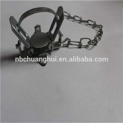 Metal Galvanized Coil Spring Possum Fox Animal Body Foot Leg Hold Trap