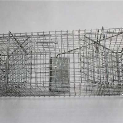 Humane Live Foldable Catch Squirrel Cage Trap Big Sale Wholesale China