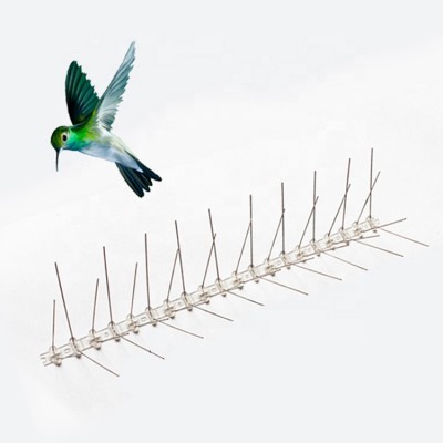 Stainless New Design Pigeon Control Spike Plastic Anti Bird Spikes