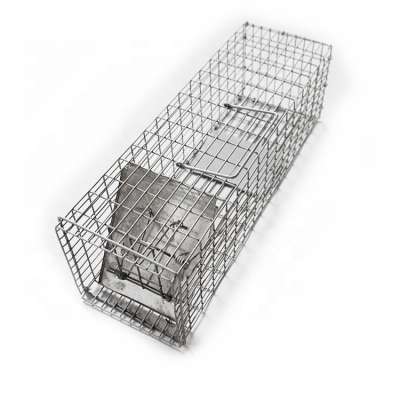 Live Catcher Wire Cage Bait Guinea Small And Big Pet Wild Pig Life Animal Trap