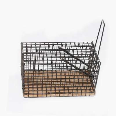 Folded Humane Live Galvanized Catching Cage Wire Rat Trap For Animal